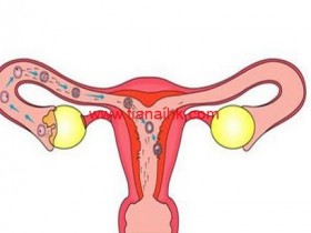自检输卵管,预防输卵管疾病