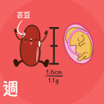 【准爸妈必知】预知男女-香港查胎儿性别是最佳的方式